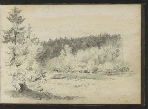 Heath and forests near Mariënbad