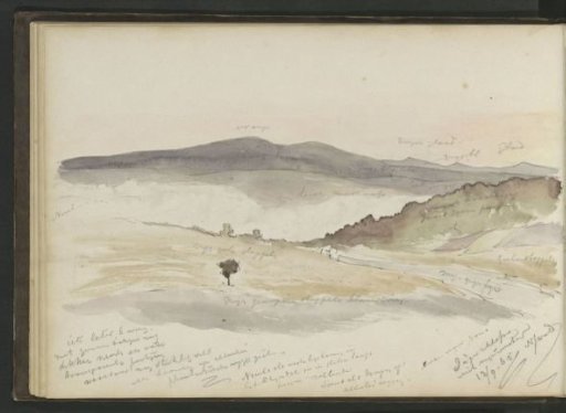 Mountain landscape with heath in Niederwald