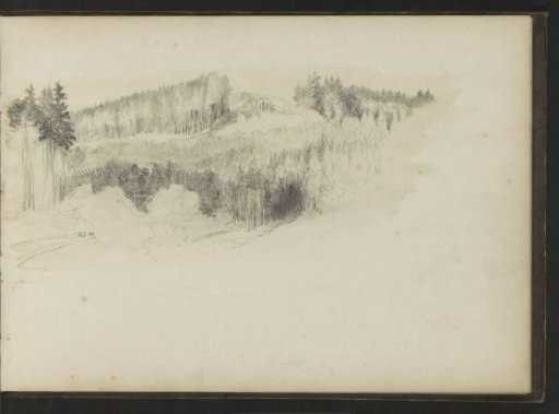 Forests near Marienbad