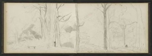Walker on a forest path