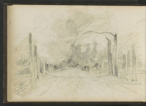 Avenue in the Amerongse Bos