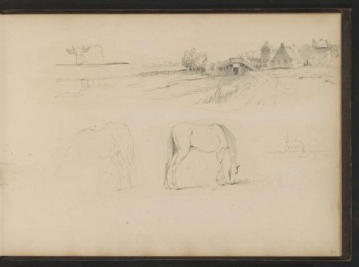 Houses by a ditch, horses and a cow by a fence