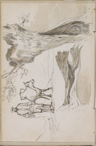Tree trunks and a man with a cow on a rope