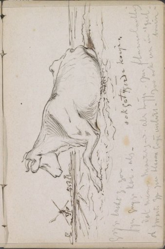 Landscape with a lying cow and a mill