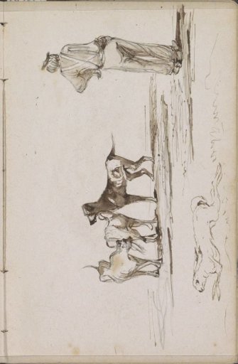 Hare and a farmer in a meadow with three dogs