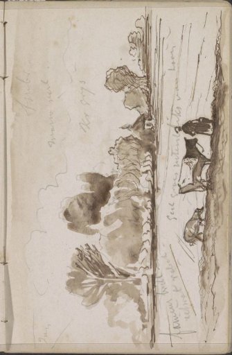 Peasant woman with two cows in a meadow
