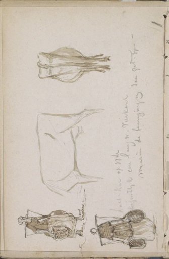 Water carrier and a cow