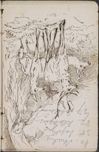 Deer by a tree