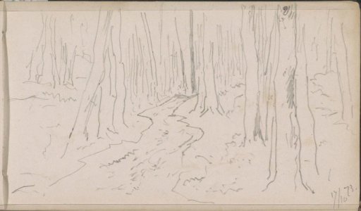 Forest avenue