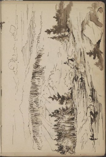 Mountain landscape with a river and pine trees