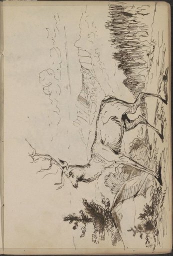 Stag in a mountain landscape
