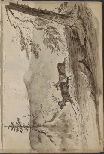Mountain Landscape with Two Running Deer