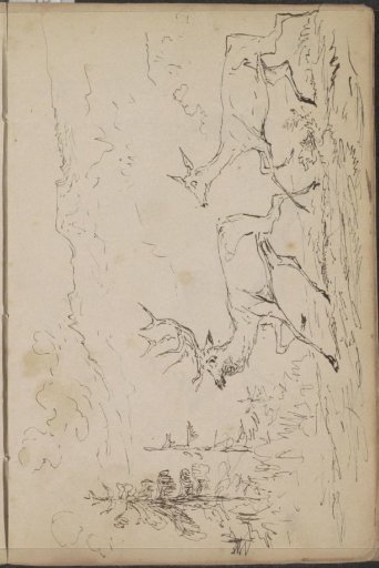 Two Deer in a Mountain Landscape