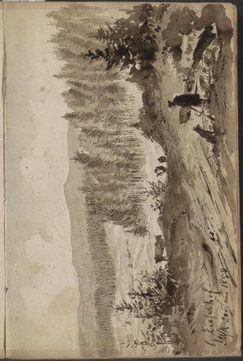 Figure in a Mountain Landscape with Pine Trees at Kieselhof