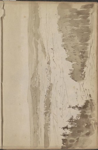 Mountain landscape with pine trees