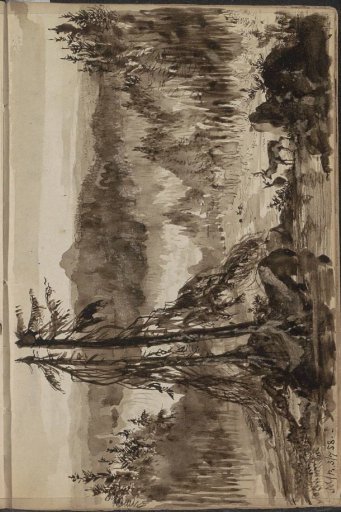 Mountain landscape with pine trees and deer