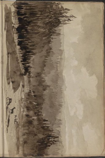 Mountain landscape with pine trees and deer