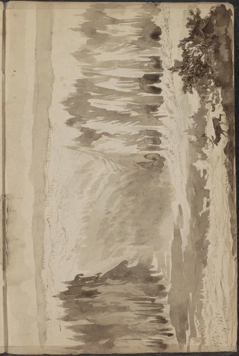 Mountain landscape with pine trees and a deer