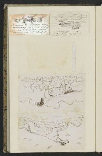 Dogs in a meadow, a duck and fish in the water, and running stags