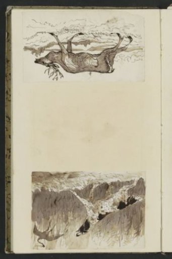Dog Chasing a Stork and a Deer