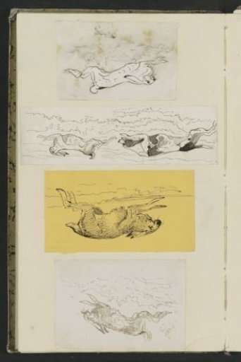 Hares and a Dog Chasing a Hare