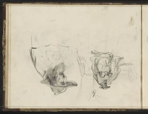 Man with a Beard and Hat