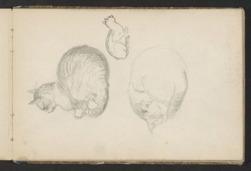 Sheet of Studies with Cats