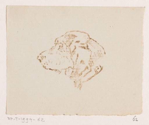 Dog's head