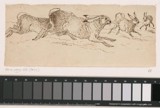 Running hares