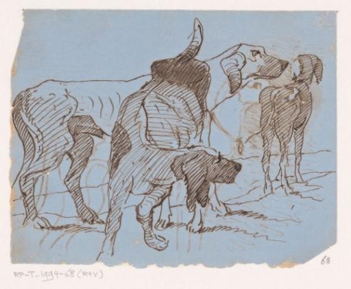 Three dogs