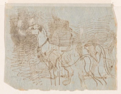 Greyhound