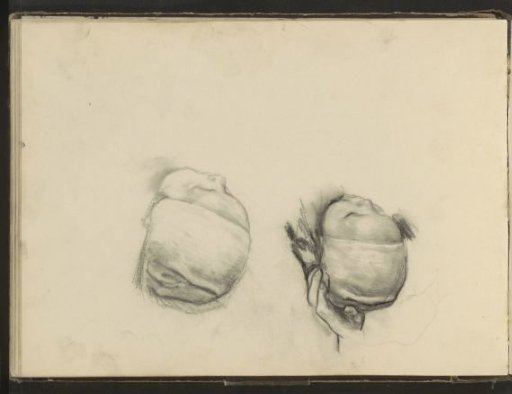 Baby Heads