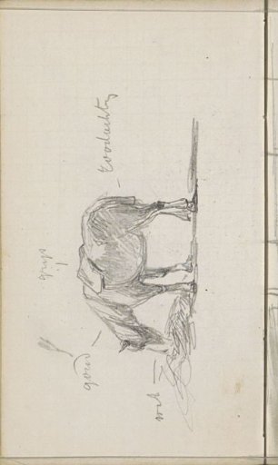 Grazing Horse