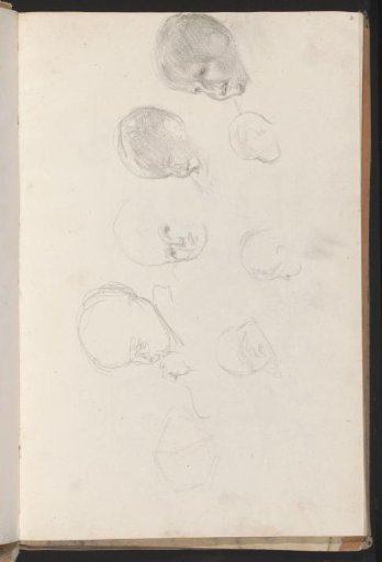 Children's heads