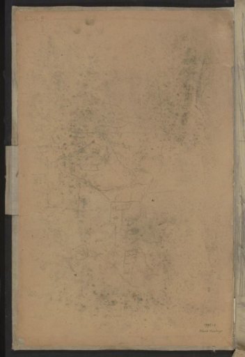 Study