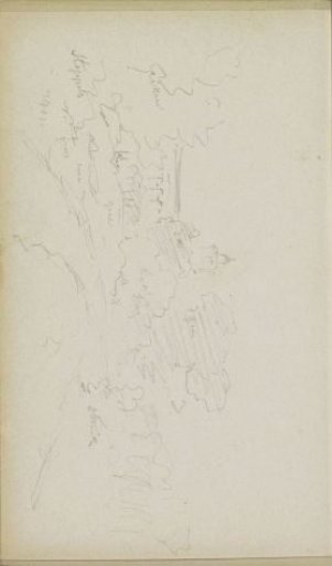 View of a Country Road