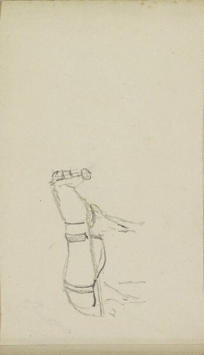 Horse with harness