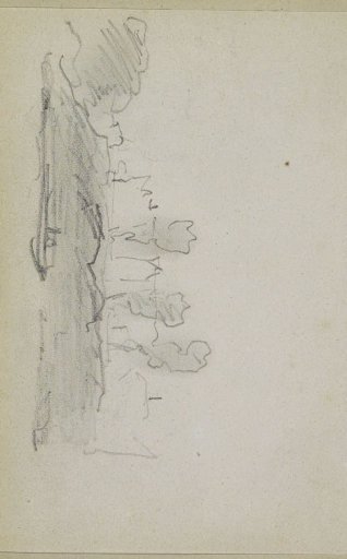 Three trees on a hill