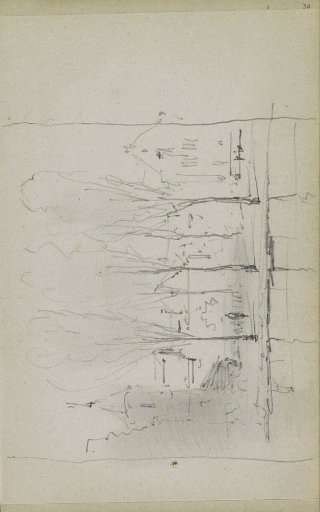 City view with trees