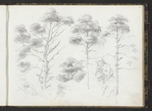 Trees and figures