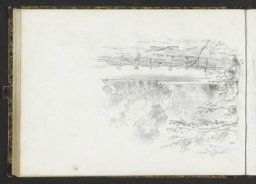 Edge of a forest