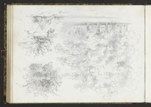 Study sheet with trees and a resting man