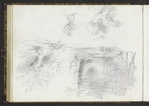 Study sheet with trees, hares and a man with a harvest basket