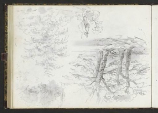 Study sheet with trees and a walker on a path