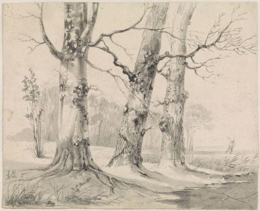 Winter landscape