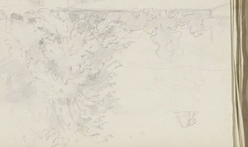 Landscape with trees along a cornfield