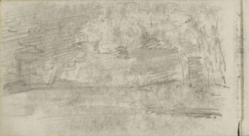 Landscape with trees