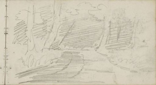 Forest Path