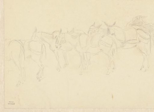Group of mules