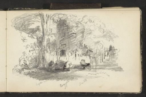 Sheep Among the Trees